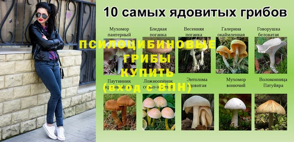 не бодяженный Алексин
