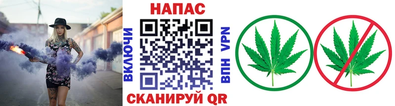 Шишки марихуана THC 21%  Суджа 